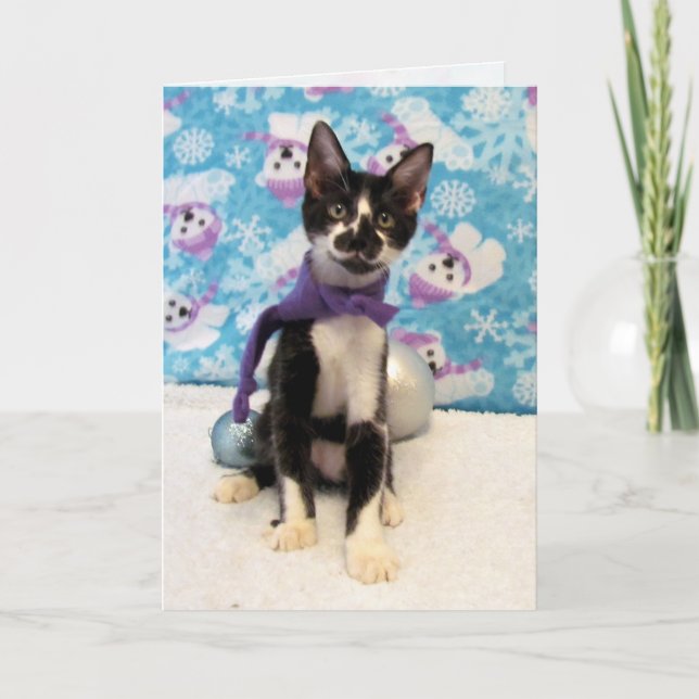 Cowboy's Winter Fashion - Cat / Kitten Christmas  Holiday Card (Front)