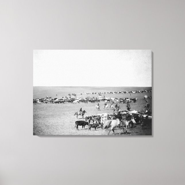 Cowboys with Cattle on the Range Photograph Canvas Print (Front)