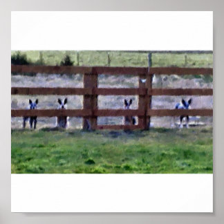 cowdogs at the fence line poster