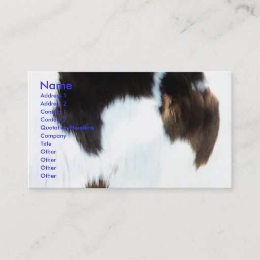 Customizable Cowhide Business Card