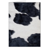 Cowhide Print (Front)