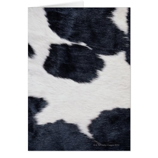 Cowhide Print Cards (Front)
