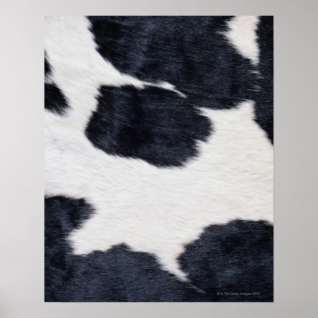 Cowhide Print Poster (Front)