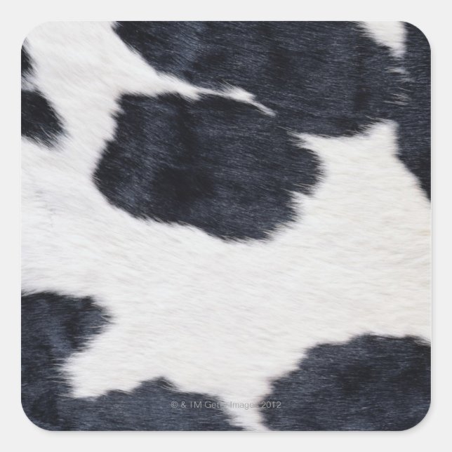 Cowhide Print Square Sticker (Front)