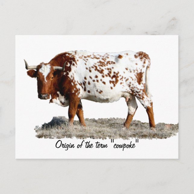 COWPOKE POSTCARD (Front)