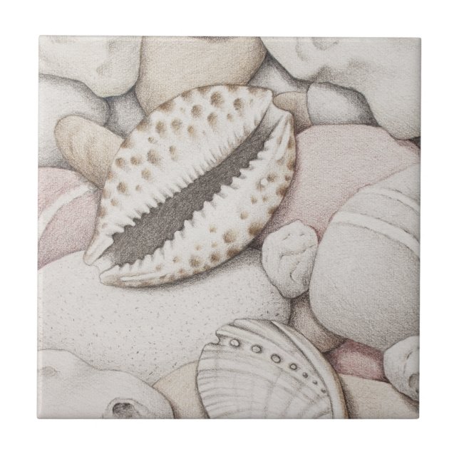 Cowrie & Abalone Shells and Pebbles Ceramic Tile (Front)