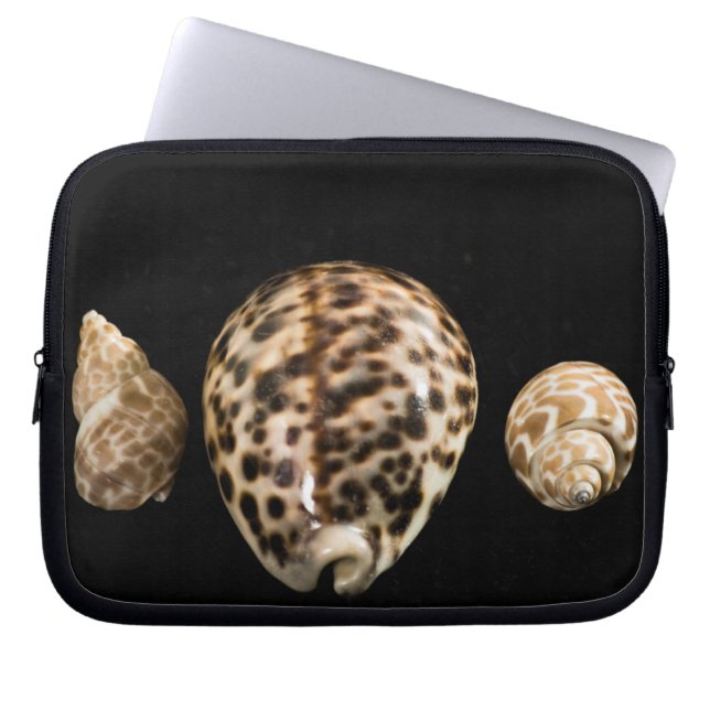 Cowrie Cones 2 Laptop Sleeve (Front)
