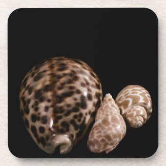 Cowrie Cones Cork Coaster