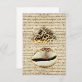 Cowrie shells (Front/Back)