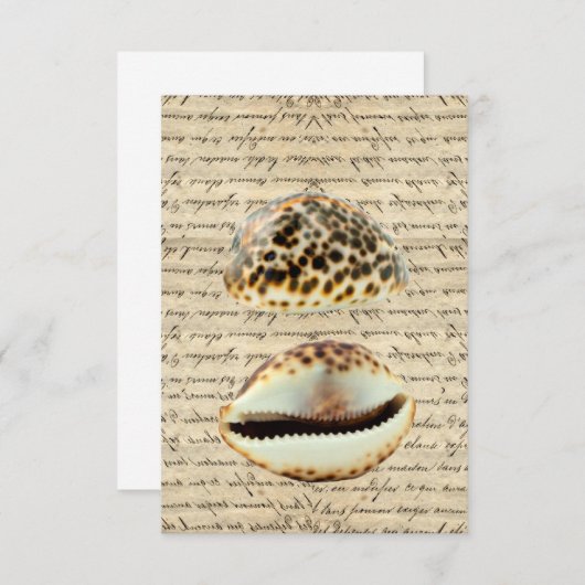 Cowrie shells (Front/Back)