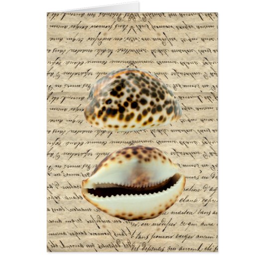 Cowrie shells cards (Front)