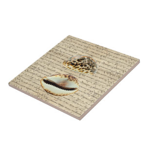Cowrie shells tile