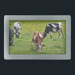 Cows_0068 Rectangular Belt Buckle<br><div class="desc">Cows in the pasture</div>