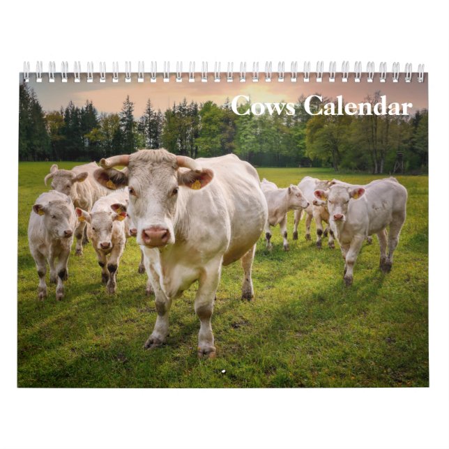 Cows 2027 Calendar (Cover)