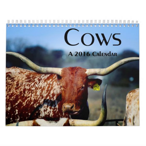 Cows A 2016 Calendar
