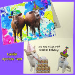 Cows and Cats Birthday Card