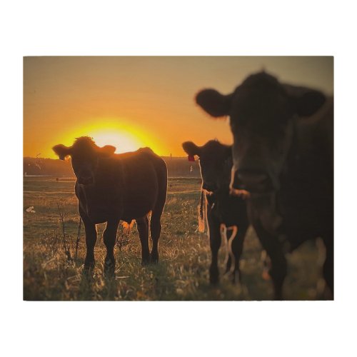 Cows at Sunset 2 Wood Wall Art