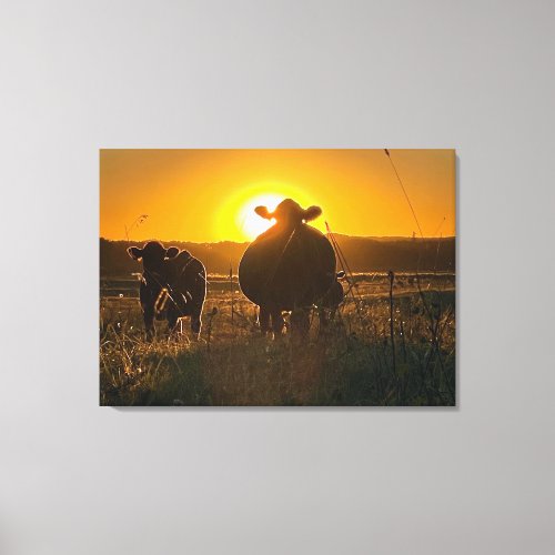 Cows at Sunset Canvas Print