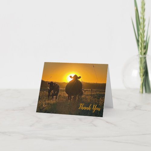Cows at Sunset Thank You Card