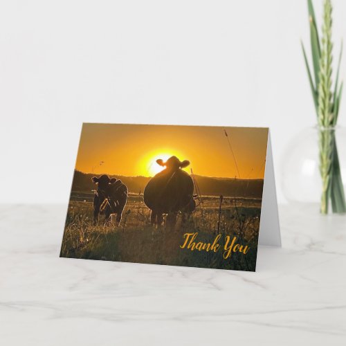 Cows at Sunset Thank You Card