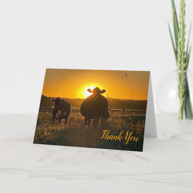 Cows at Sunset Thank You Card (Front)