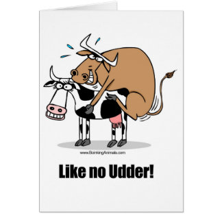 cows boinking cards