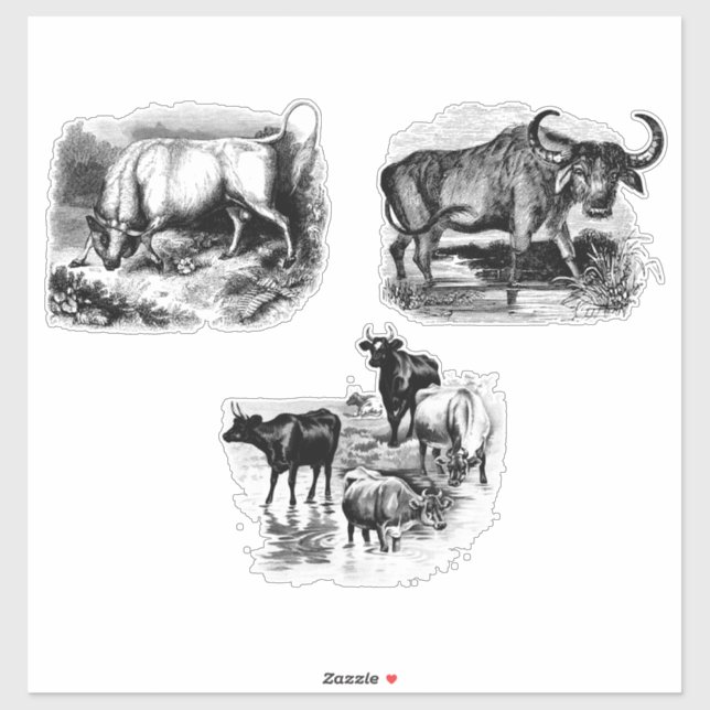 Cows Bull Water Buffalo Vintage Animal art Sticker (Sheet)