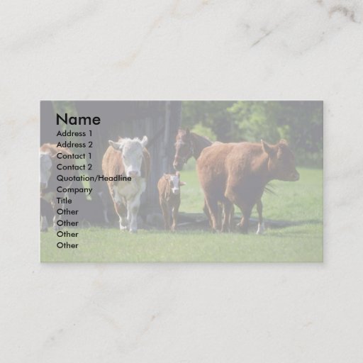 Customizable Cows Business Card Template