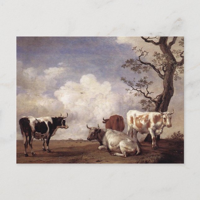 Cows by Potter Postcard (Front)