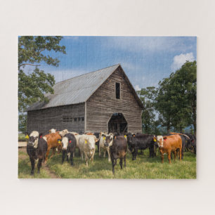 cows by the barn jigsaw puzzle