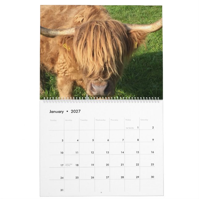 Cows Calendar (Jan 2027)