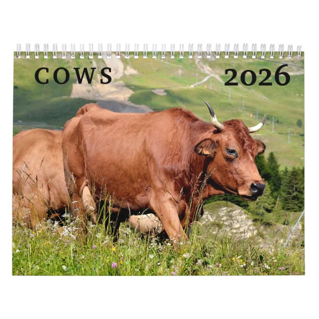 Cows calendar (Cover)