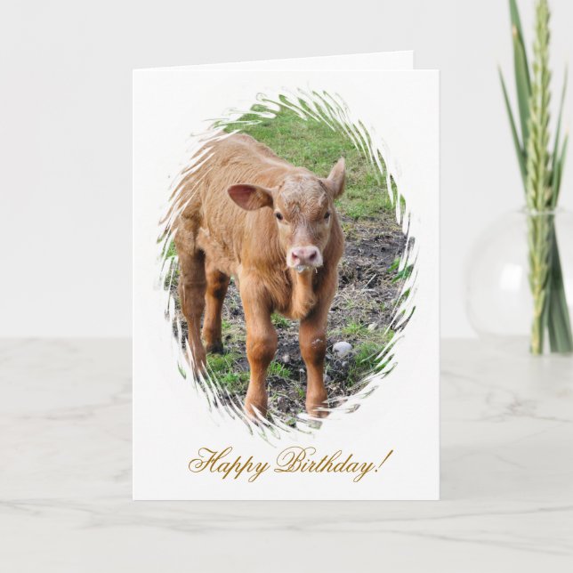 COWS CARD (Front)