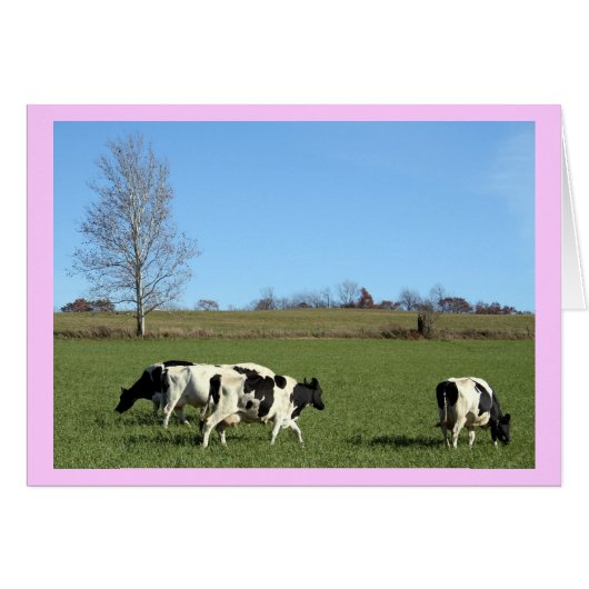 Cows Cards (Front Horizontal)