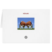Cows Cards (Back Horizontal)