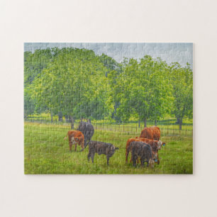 Cows Cattle Art Texas Farm Pasture Puzzle