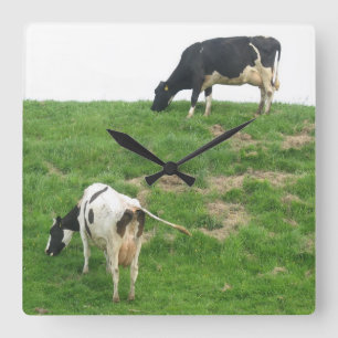 Cows Clock