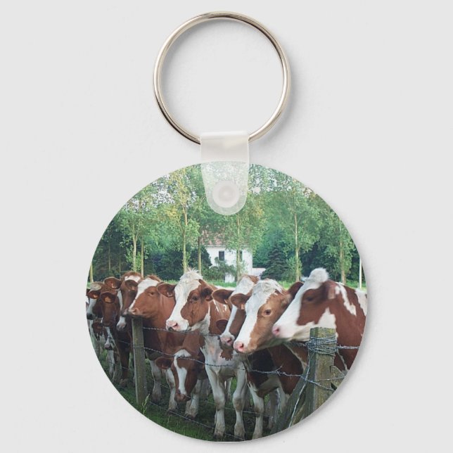 Cows Curious Keychain (Front)