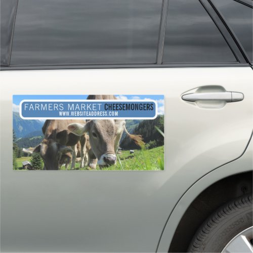 Cows Grazing Cheesemonger Car Magnet