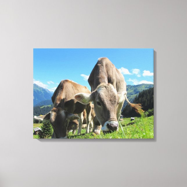 Cows Grazing in Austria Canvas Print (Front)