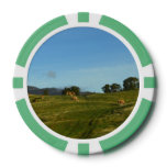 Cows Grazing in Cairngorms Poker Chips