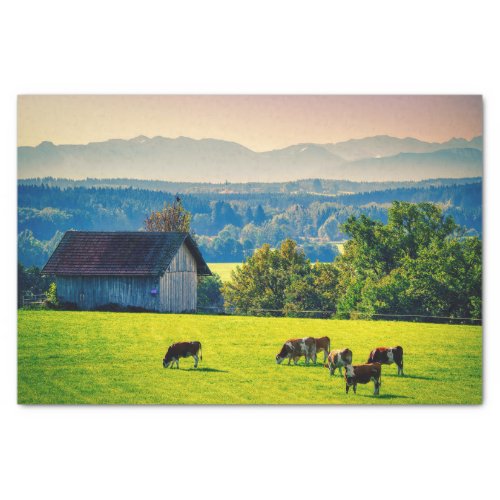 Cows Grazing Peacefully in a Bucolic Setting Tissue Paper