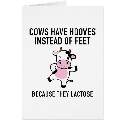 Cows Have Hooves Cards (Front)