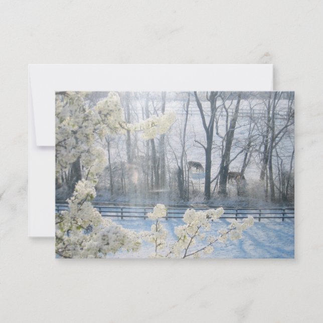 Cows in a field in winter invitation (Front)