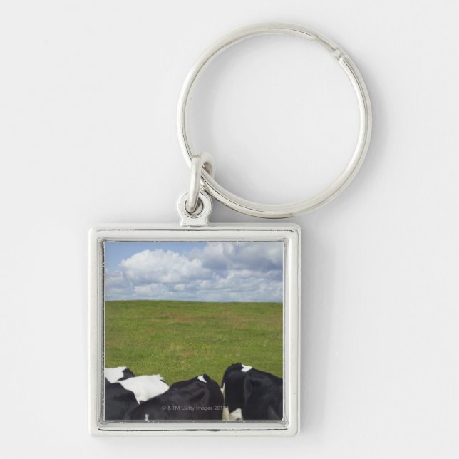 Cows in a pasture. keychain (Front)