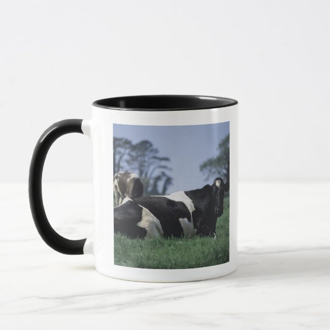 cows in a pasture mug (Left)