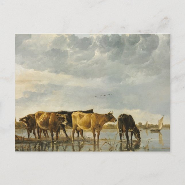 Cows in a River Aelbert Cuyp  Postcard (Front)