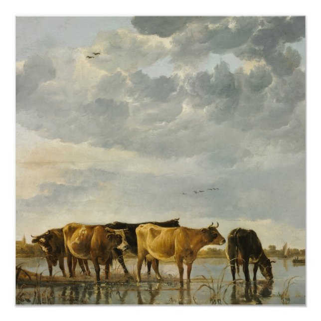 Cows in a River Aelbert Cuyp  Poster (Front)