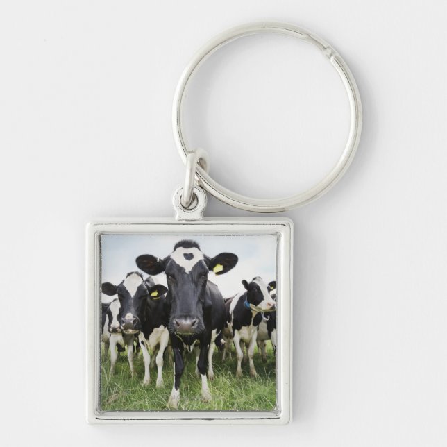 Cows In a Row Keychain (Front)