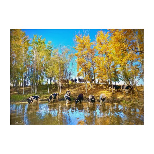 Cows in Autumn at the Pond Acrylic Print